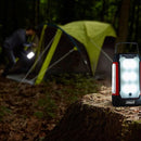 Coleman 4 Panel LED 800 Lumen Battery Powered Lantern